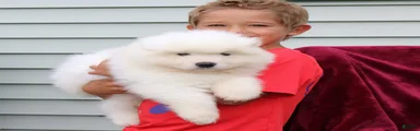 Asher