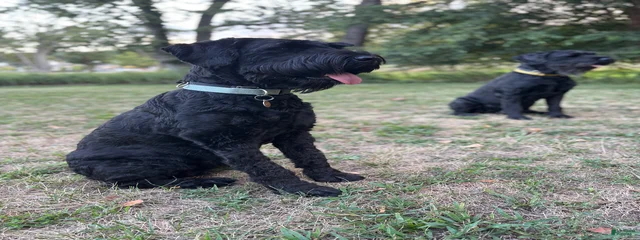 Oona 
