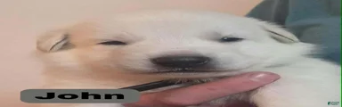 John