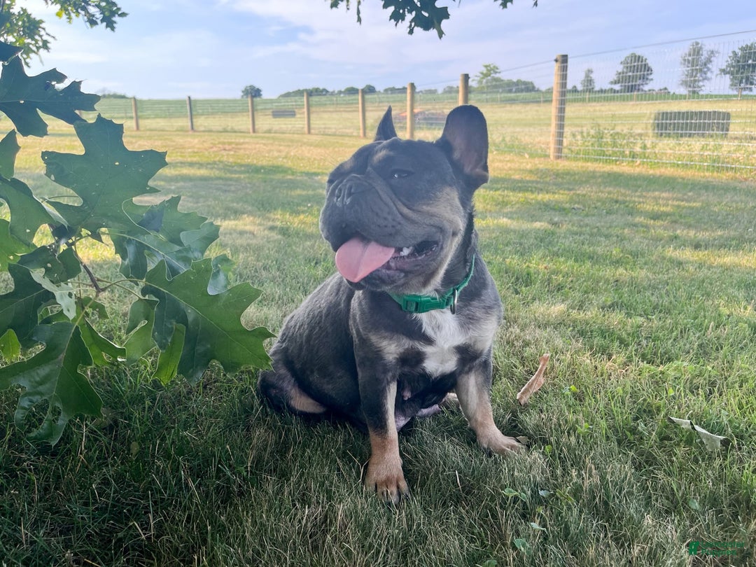 Gallery Image {{count}}