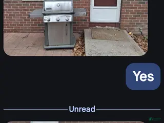 Jack Russell Terrier dogs for sale: Jack Russell Terrier Puppy 4 - Ad 4