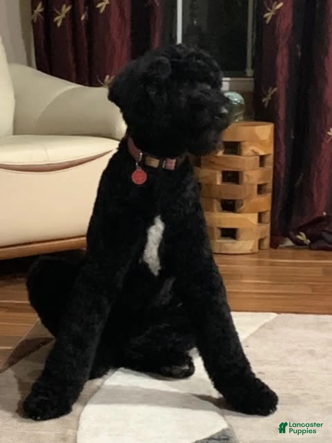 Gallery Image {{count}}