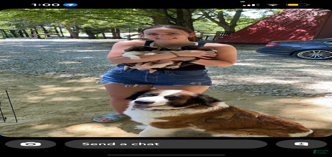 Gallery Image {{count}}