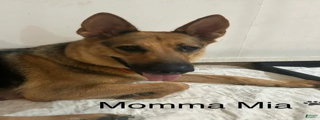 Mia