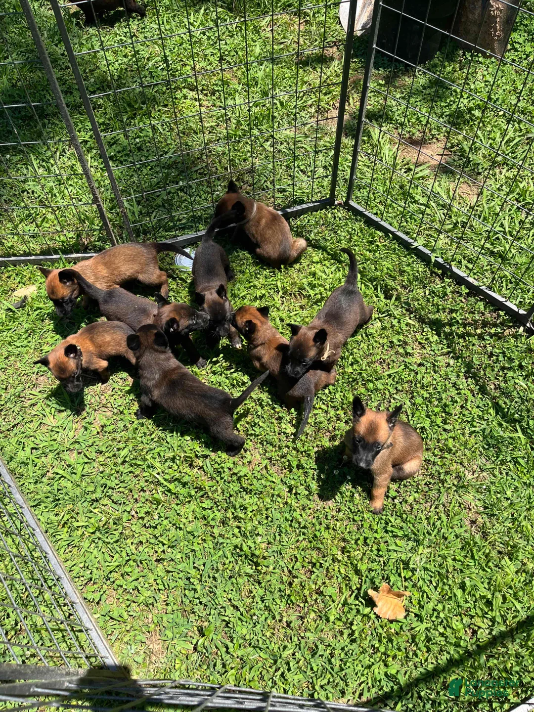 Gallery Image {{count}}