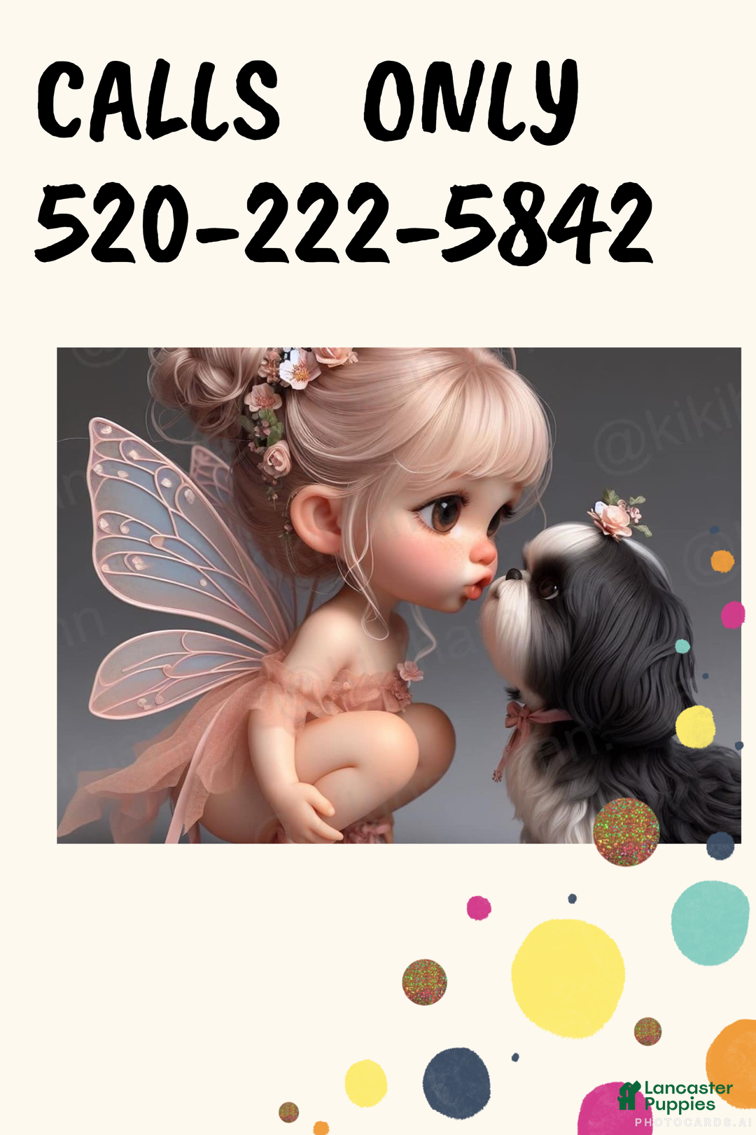 Shih Tzu dogs for sale: Freckles AKC Imperial  Shih Tzu  - Ad 5