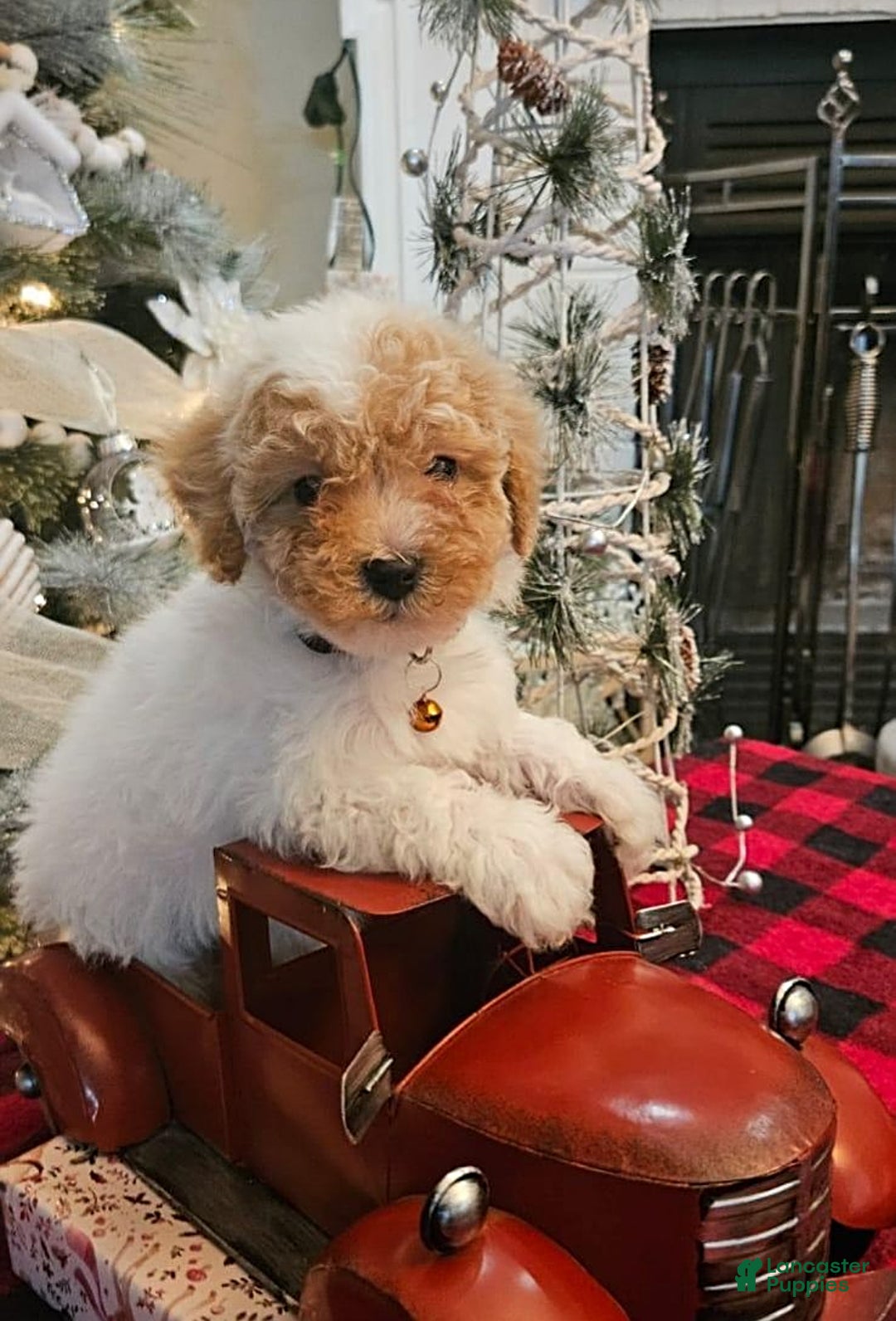 Gallery Image {{count}}