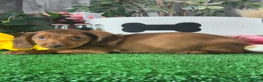 Denver
