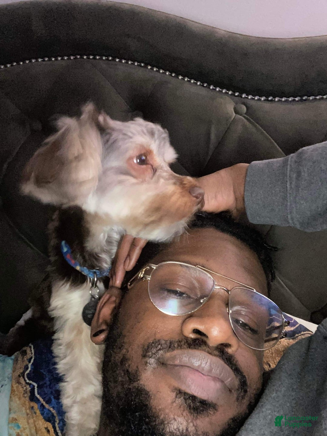 Gallery Image {{count}}