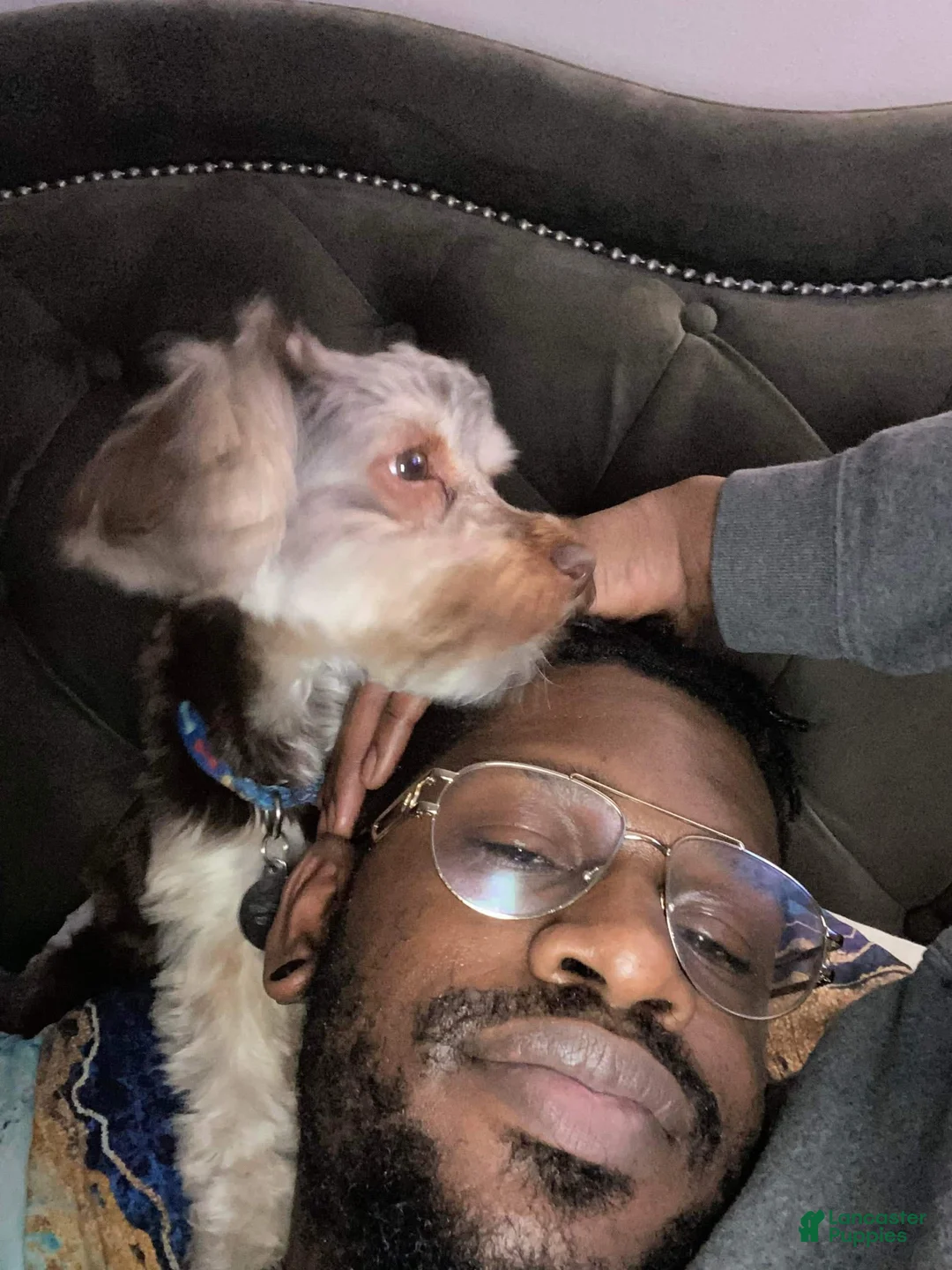 Gallery Image {{count}}