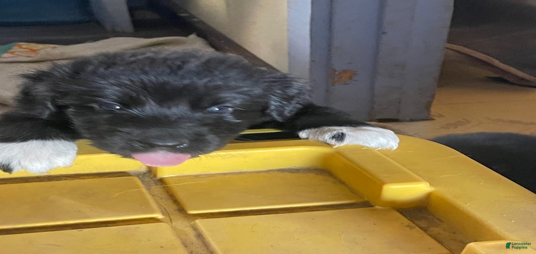 Gallery Image {{count}}