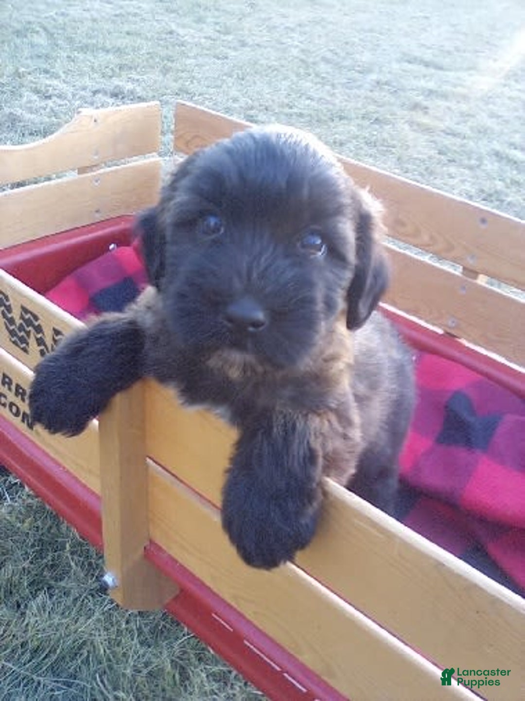 Gallery Image {{count}}