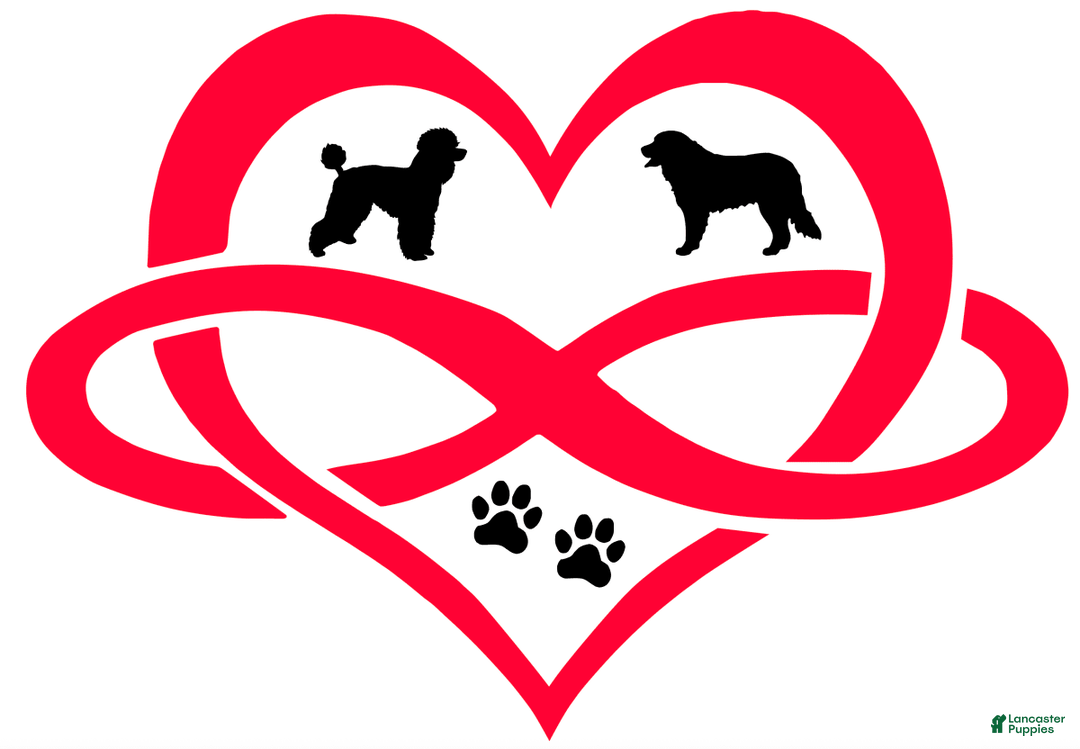 Paw Prints on my Heart