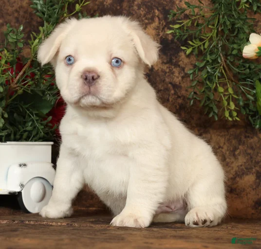 Gallery Image {{count}}