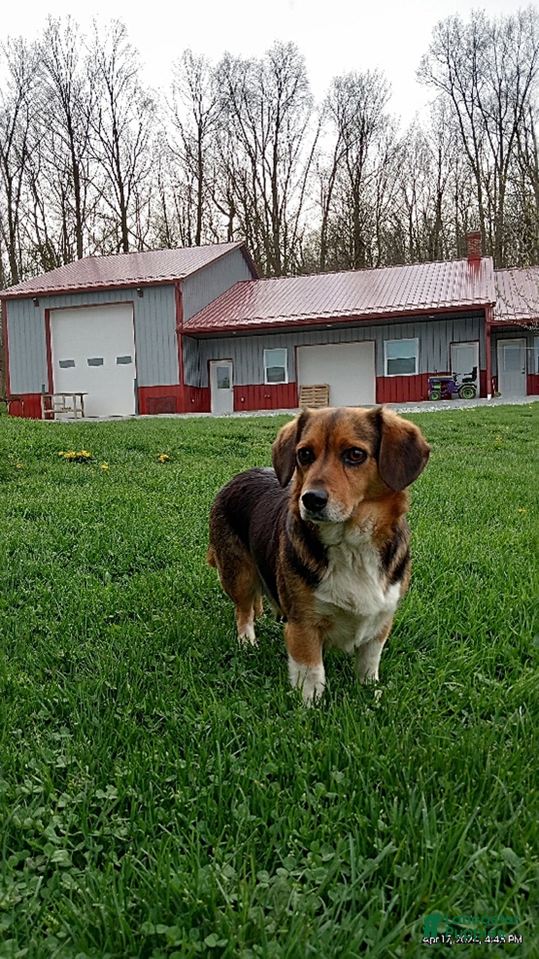 Gallery Image {{count}}