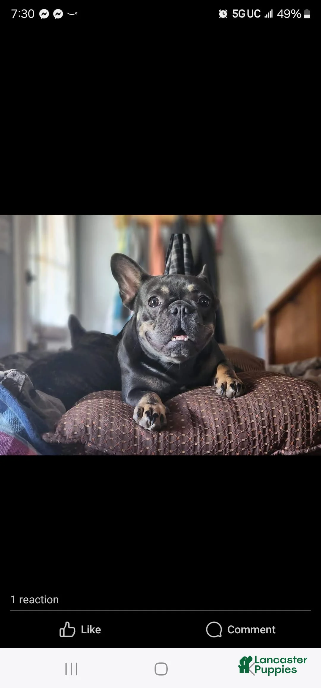 Gallery Image {{count}}