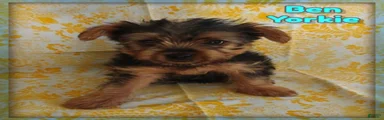 Ben