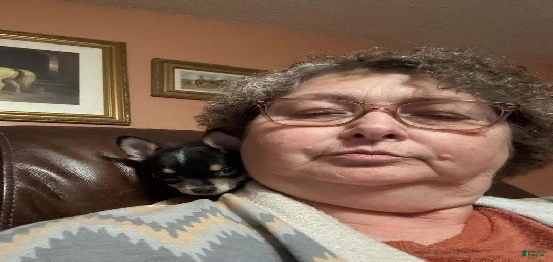 Gallery Image {{count}}