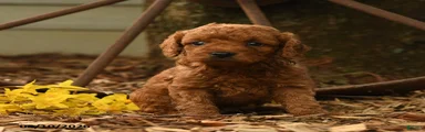 Rusty