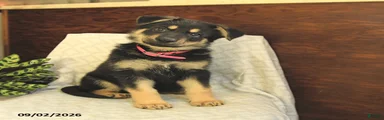 Maddy