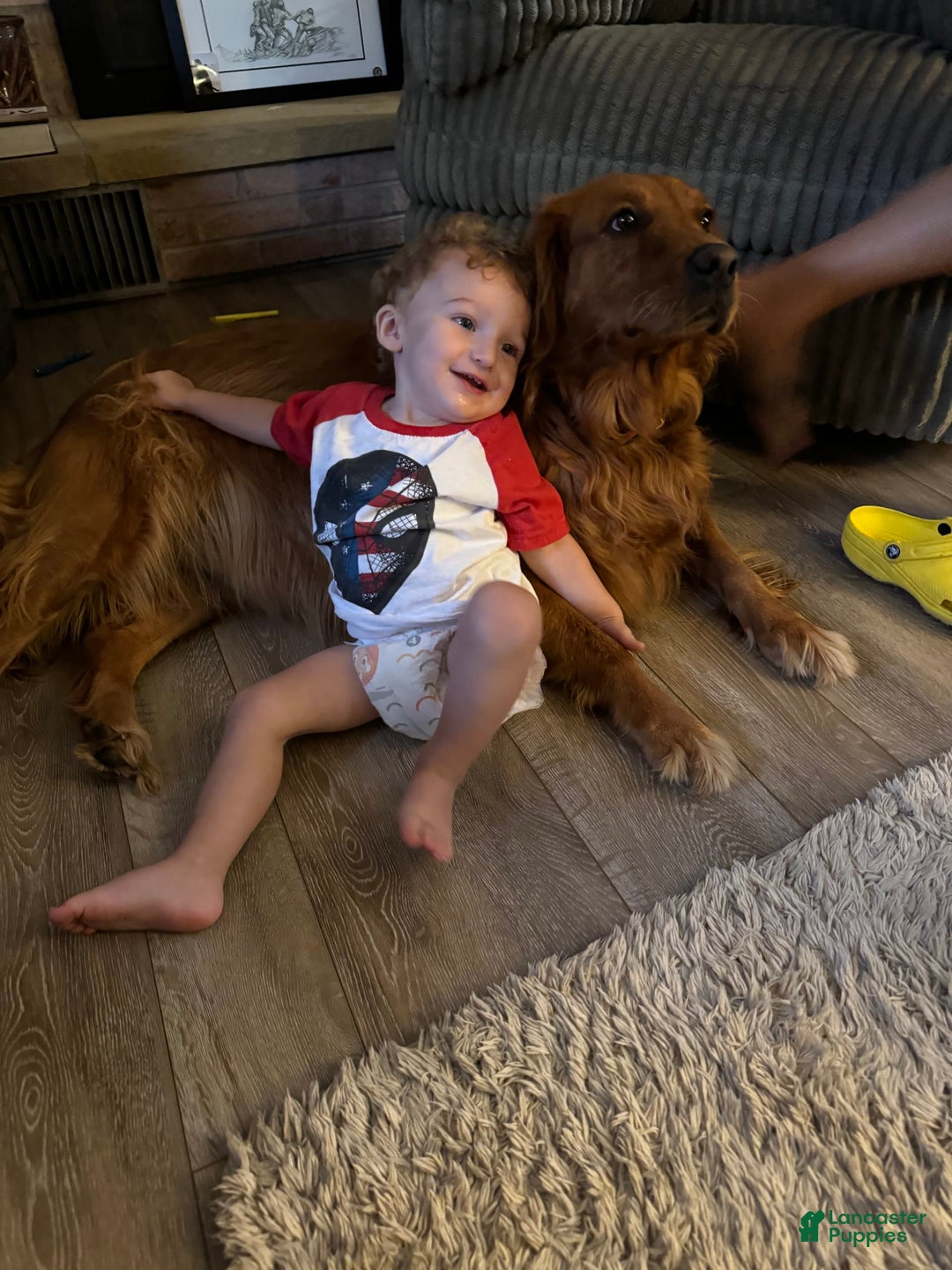 Gallery Image {{count}}