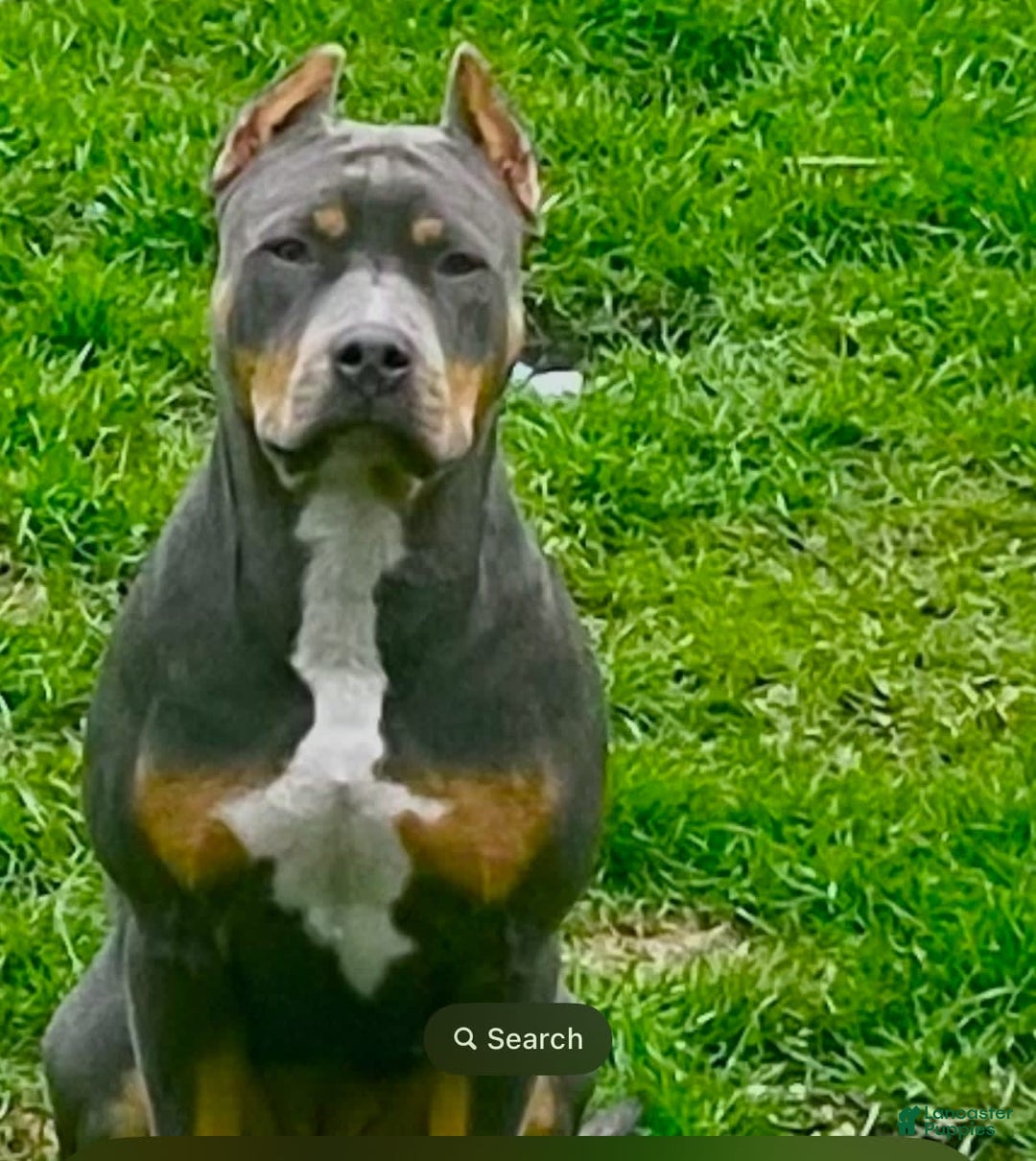 Gallery Image {{count}}