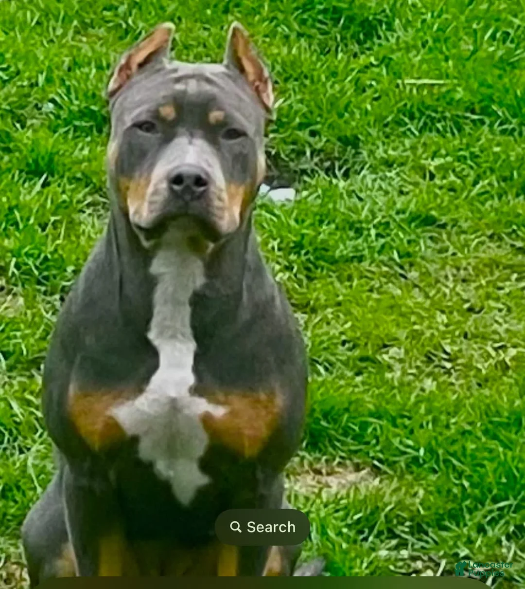 Gallery Image {{count}}