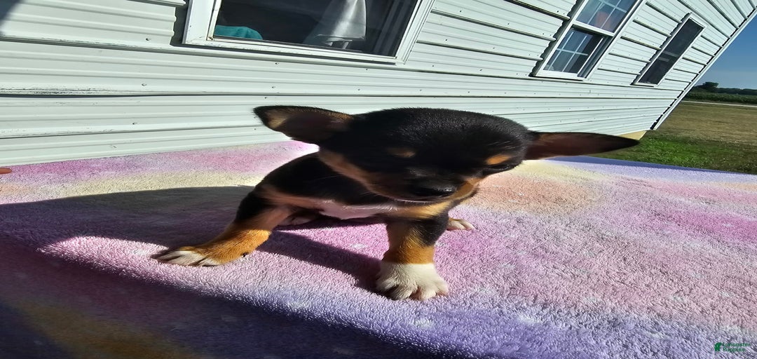 Gallery Image {{count}}