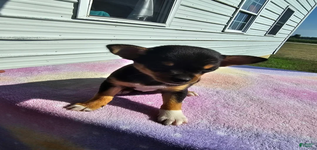 Gallery Image {{count}}