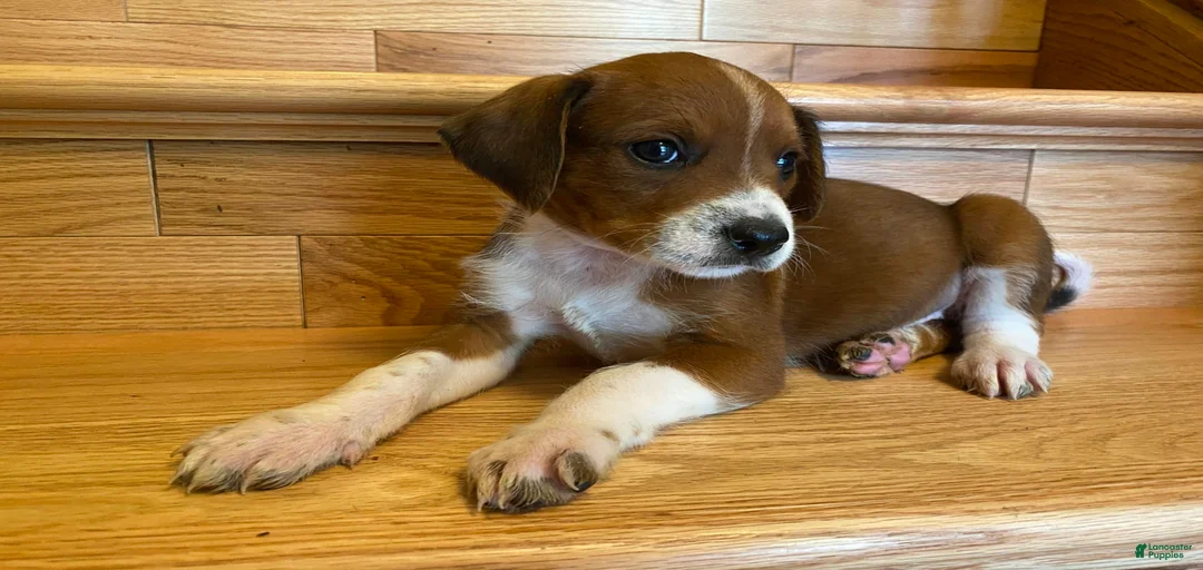 Gallery Image {{count}}