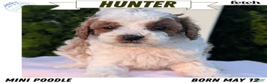 Hunter