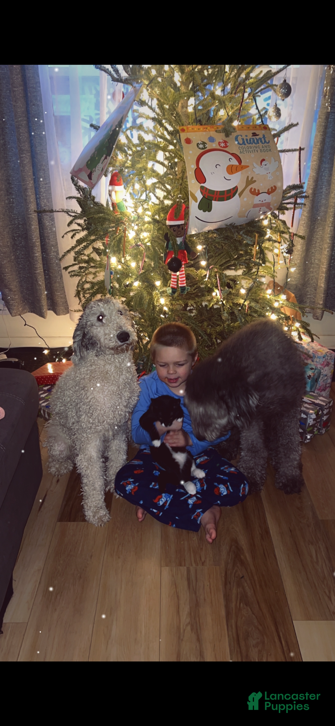 Gallery Image {{count}}