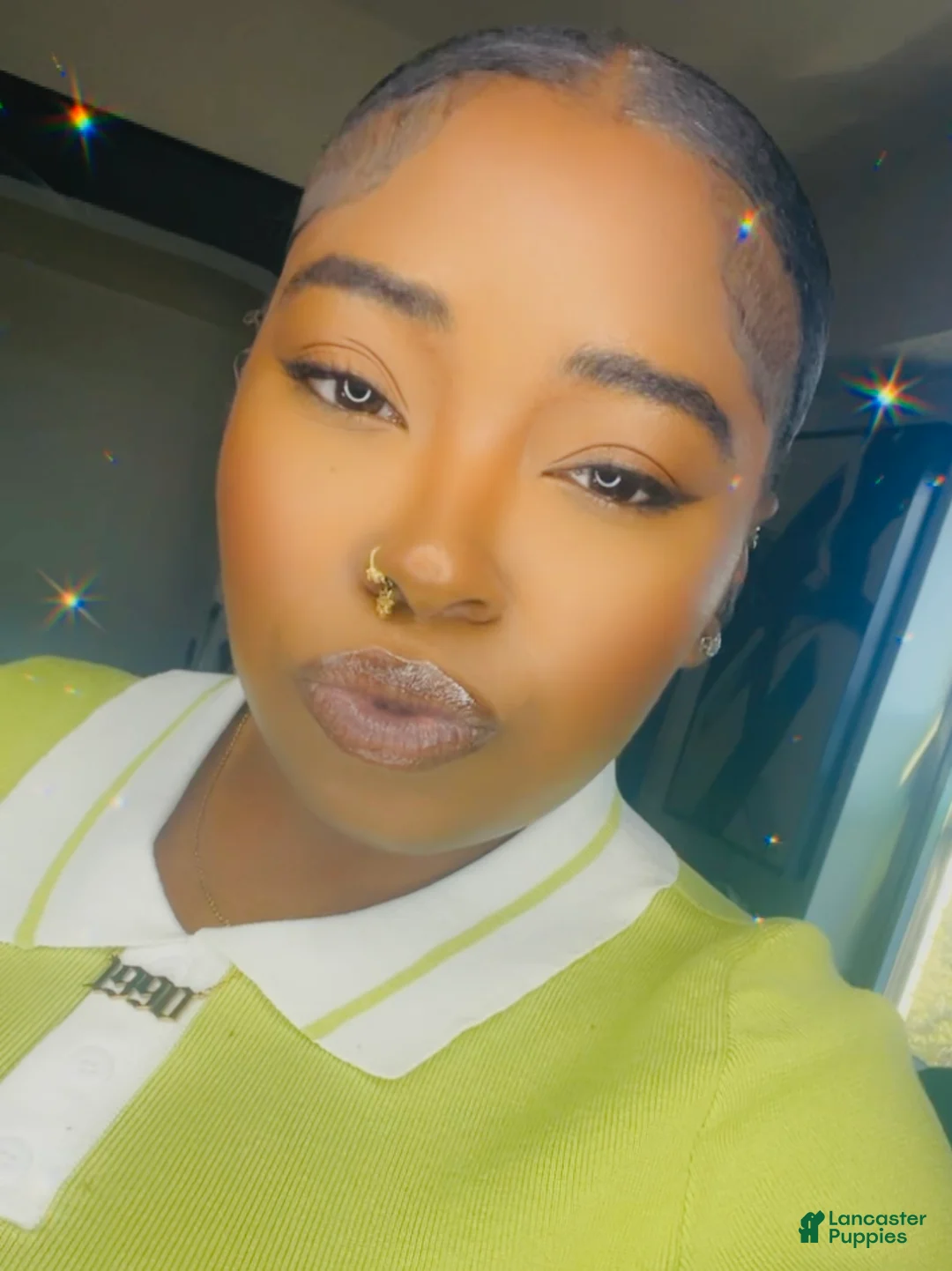 Gallery Image {{count}}