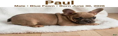 Paul