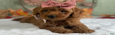 Ruthie
