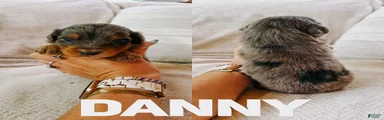 Danny 