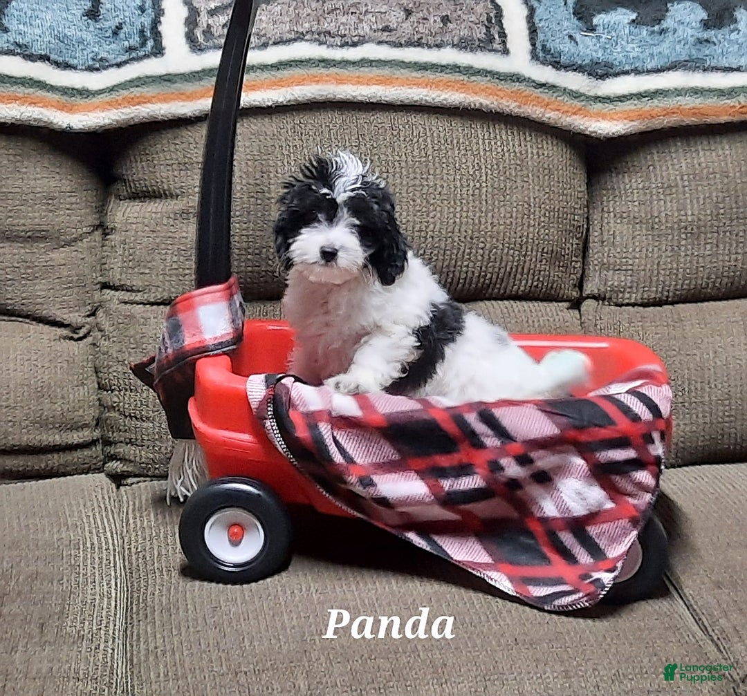 Gallery Image {{count}}