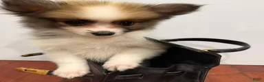 Fluffy