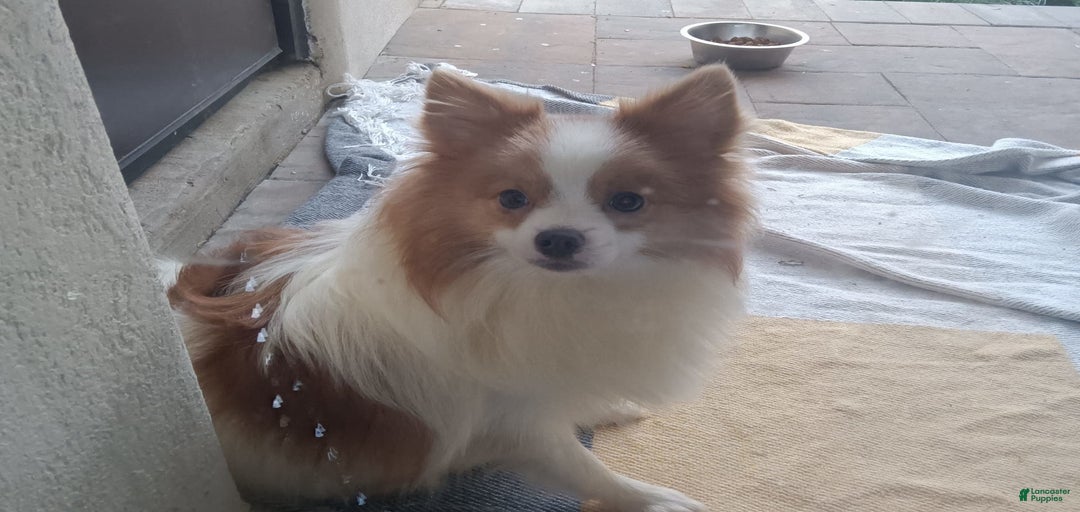 Gallery Image {{count}}