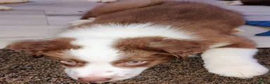 Cliff