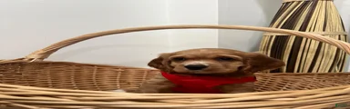 ❤️👑✨ Charming ✨👑❤️