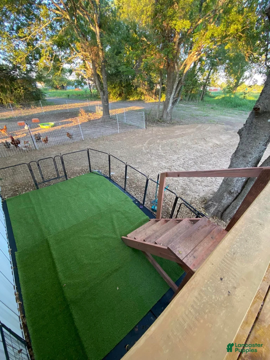 Gallery Image {{count}}