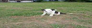 PATCH