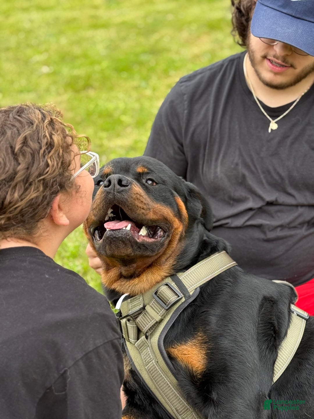 Gallery Image {{count}}