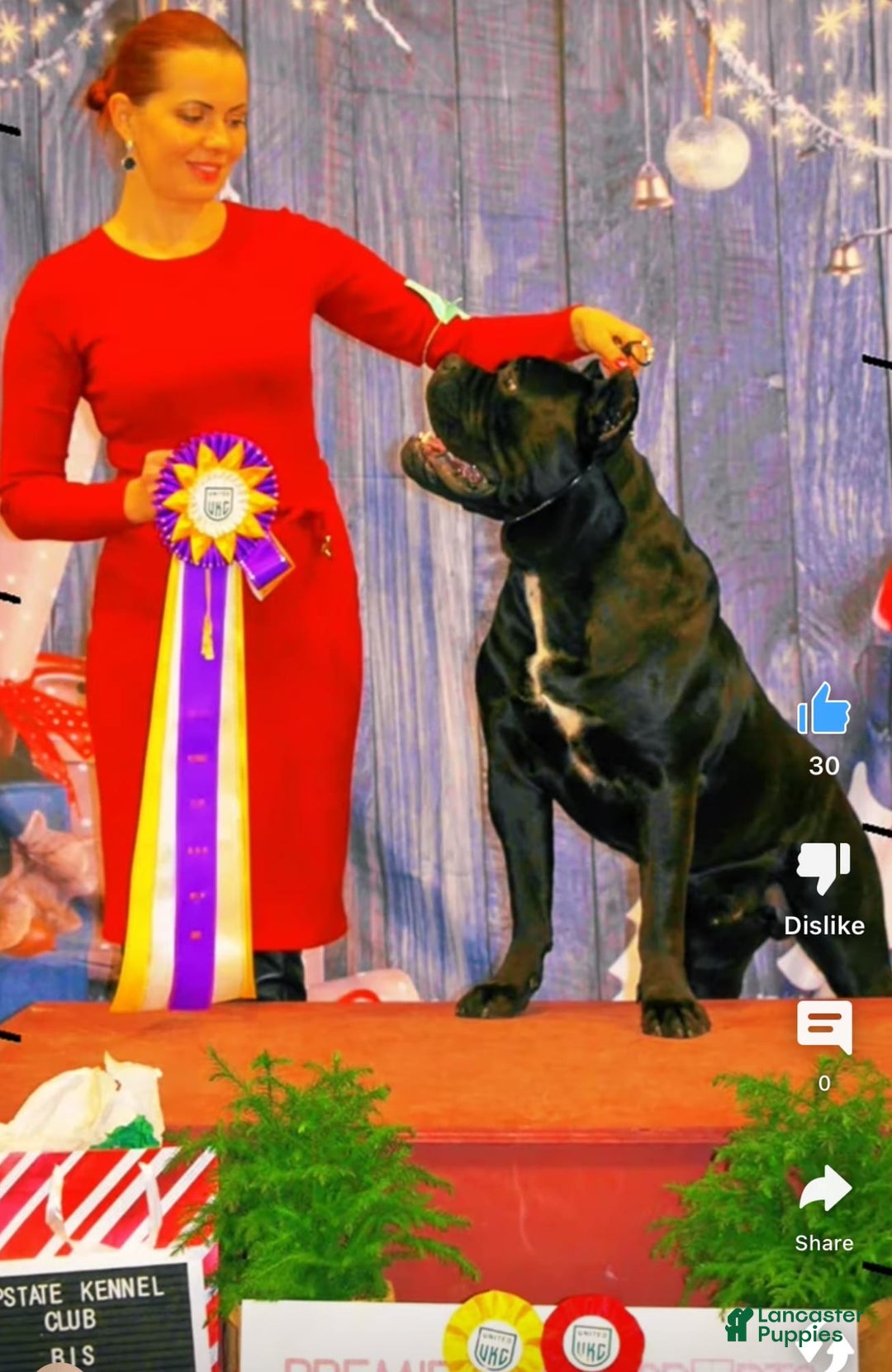 Gallery Image {{count}}