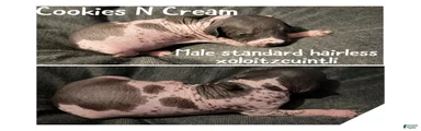 Cookies n cream 