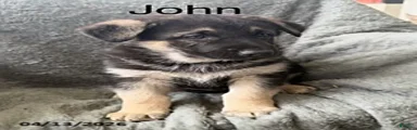John