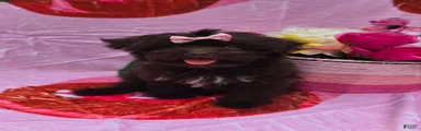 Nuria