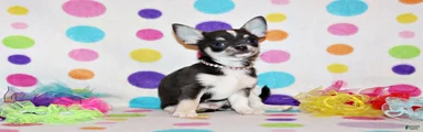 Oscar