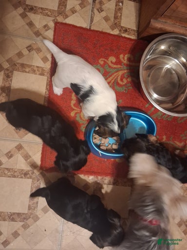 Gallery Image {{count}}